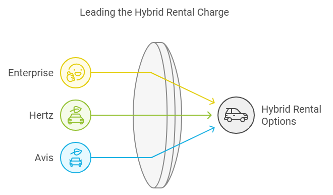 prius hybrid rental